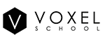 Voxel_150