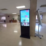 Carrus_3.webp